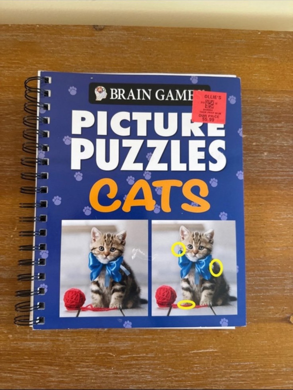 Brain game spot the difference picture book
